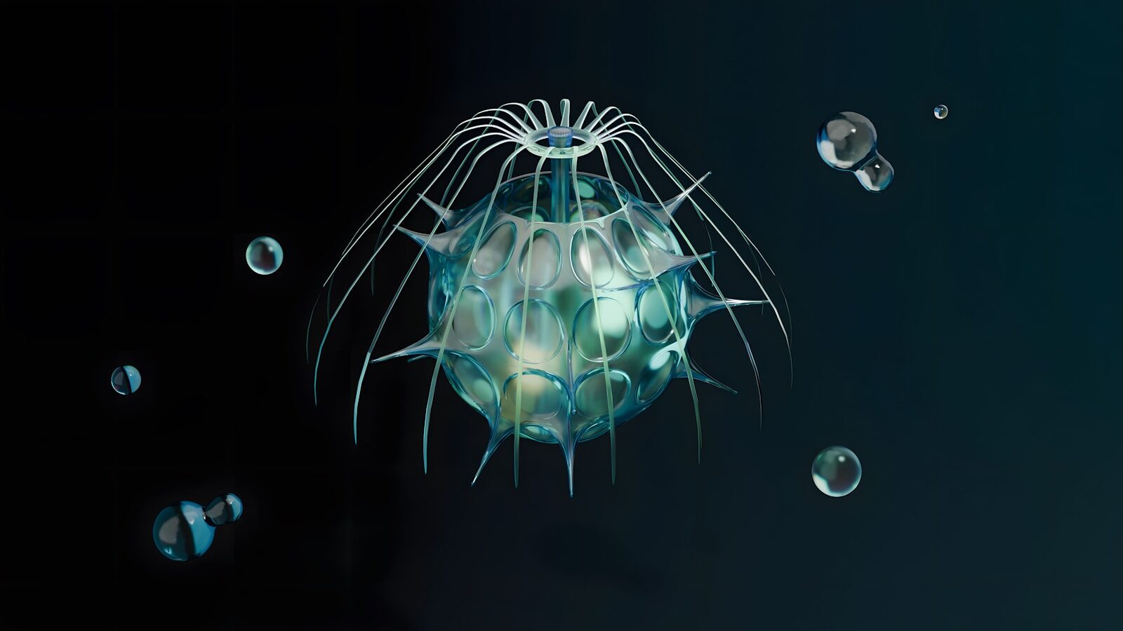 A picture of a jellyfish in the water